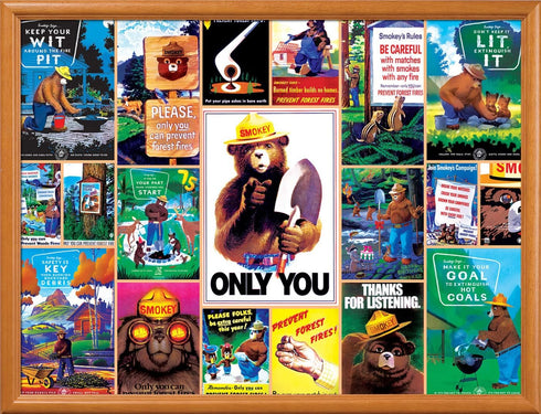 MasterPieces 550 Piece Jigsaw Puzzle for Adults, Family, Or Youth - Smokey Bear - 18"x24"...