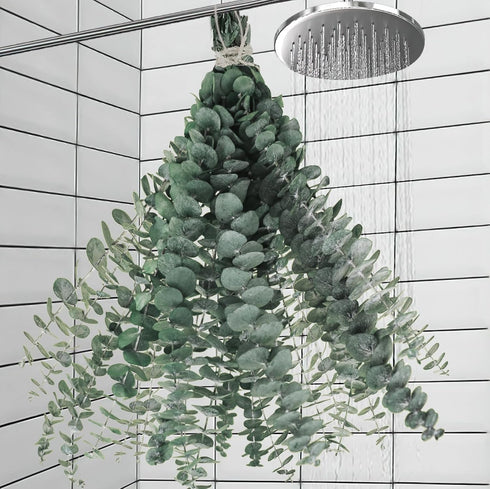 11 PCS Real Dried Eucalyptus for Shower Hanging Decor- 17'' Large Eucalyptus Stems Shower Plants from Fresh Eucalyptus Leaves for Shower, Shower S...