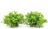 BEGONDIS Aquarium Decorations Fish Tank Artificial Green Water Plants Made of Soft Plastic, Safe for All Fish & Pets (Style-3)...