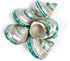5PC Green Turbo Banded Shells,Hermit Crab Shell &Turbo Shells Hermit Crab Supplies for Decor 1.5"~ 2" Inch...