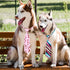 Segarty 30 PCS Dog Neckties, Adjustable Dog Ties Dog Neck Ties and Bows for Medium Large Dog Festival Formal Bulk Pet Bowties Collar Grooming Dogs...
