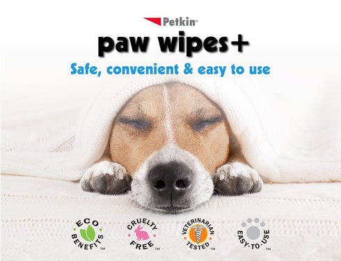 Paw Wipes Plus, 100 Orange Scented Wipes - Absorbent Pet Paw Wipes Remove Daily Dirt & Odors - Enriched with Paw Balm Protectant - Easy to Use Pet...