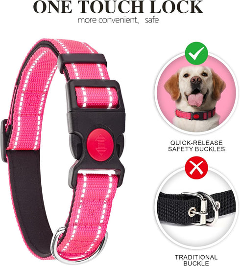 2 Pack Reflective Dog Collar for Small Dogs Girl Boys,Nylon Durable Soft Padded Neoprene Male Female Dog Collars for Medium Puppy Extra Large Dogs...