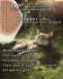 Pet hair brush, Cat grooming brush Dog hair brush pet grooming self cleaning slicker brush for dogs cats puppy rabbit, Cat brush grooming gently r...