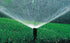 Rain Bird 1804NPPRS Pressure Regulating (PRS) Professional Non-Potable Water Pop-Up Sprinkler, Adjustable 0° to 360° Pattern, 8' - 15' Spray Dista...
