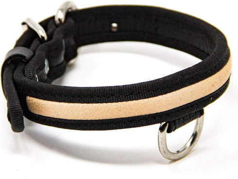 Premium Leather Dog Collar - Best Full Grain Heavy Duty Genuine Leather Collar (Tan, Small)...