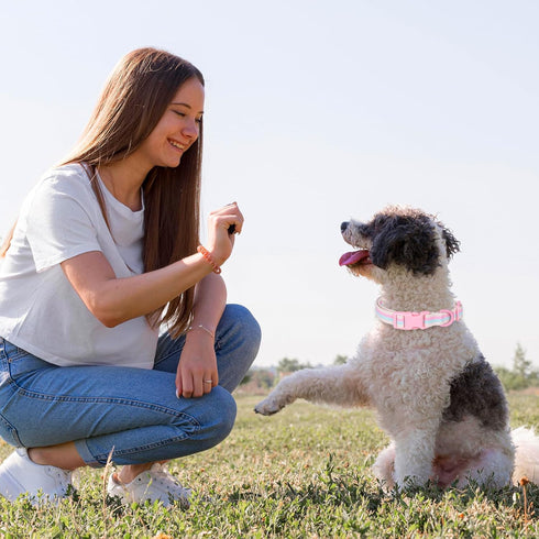 Polyester Dog Collar for Small Medium Large Dogs, Soft Basic Dog Collars Fancy Adjustable Dog Collars with Quick Release Safety Buckle...