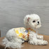 2Pcs Floral Dog Dress for Small Dog Girl Chihuahua Yorkies Princess Dress Summer Skirt for Puppy Kitten, Painting Floral, L...