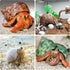 Hermit Crab Shells Medium and Large - 12PCS Growth Turbo Seashells Size 1.4"-3.2" for Small Medium and Large Crabs - Saltwater Hermit Crab Supplie...