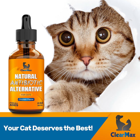 Antibiotics for Cats ? Cat Antibiotic ? Natural Antibiotics for Cats ? Cat Antibiotics ? Antibiotic for Cats ? Cat Multivitamin ? Pet Antibiotic ?...