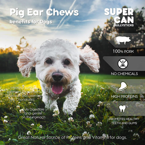SUPER CAN BULLYSTICKS Half Pig Ears for Dogs (15 Count) All Natural Dog Treats Pig Ears - Healthy Dog Treats - Pig Ears for Dogs Large - Natural D...