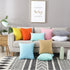 TAOSON Set of 2,100% Cotton Soild Canvas Decorative Throw Pillow Cover Cushion Covers Pillowcase, Home Decor Decorations for Sofa Couch Bed Chair ...