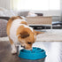 Outward Hound Fun Feeder Slo Bowl, Slow Feeder Dog Bowl, Medium/Mini, Turquoise...