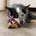 Combo Chews Rawhide/Pork Flavor Rawhide Stick 5" w/Chicken Meat Wrap Dog Chew Treats - 22 Count/1 Pack...