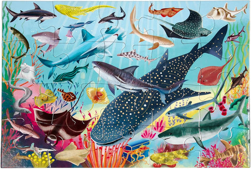 eeBoo: Sharks & Friends - 20 Piece Puzzle - 15 x 11 Kids Jigsaw, Glossy Pieces, Preschool Puzzle, Ages 3+...