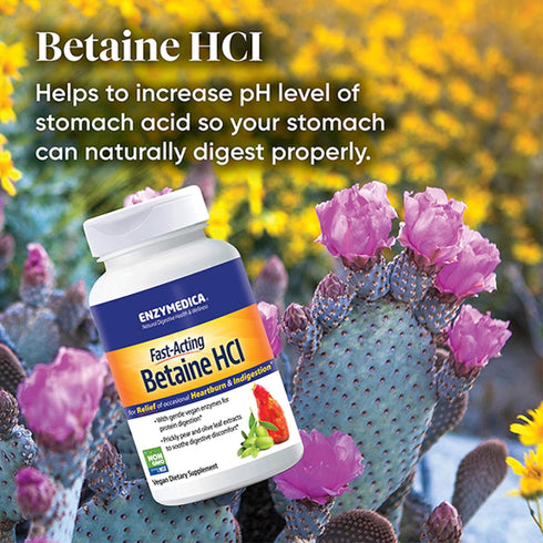 Enzymedica, Betaine HCl, Occasional Heartburn and Indigestion Support, 120 Capsules...