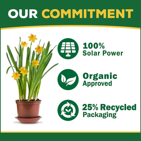 Espoma Organic Cactus! Plant Food, Natural & Organic Fertilizer for all Cactus, Succulents, Palm, and Citrus both indoors and outdoors, 8 oz, Pack...