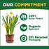 Espoma Organic Cactus! Plant Food, Natural & Organic Fertilizer for all Cactus, Succulents, Palm, and Citrus both indoors and outdoors, 8 oz, Pack...