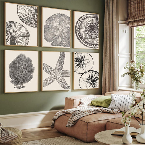 WYHLMTQ 6Pcs Boho Beach Coastal Posters Canvas Wall Art Modern Abstract Painting Shell Pictures Prints Wall Decor Beach Gallery Artwork for Beach ...