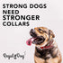 Regal Dog Products Large Red Heavy Duty Reflective Dog Collar with Durable Metal Buckle and D Ring Adjustable, Chew Proof & Waterproof Center Ring...