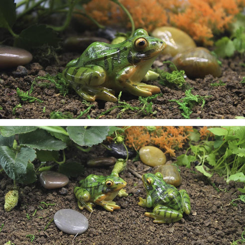 Miniature Frog Figurine, Fish Tank Decoration for Miniature Fairy Garden and Terrarium Statue(4 pcs)...