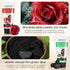 5 Pcs Peel off Face Mask Deep Cleansing Facial Mask to Remove Blackheads, Dirt, and Cleanse Pores Skin Care Gift for Girl Women...