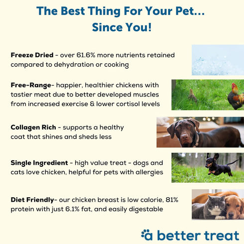 A Better Treat – Freeze Dried Chicken Breast Dog Treats 3 oz, Free Range, Single Ingredient | Natural Healthy High Value | Gluten Free, Grain Free...