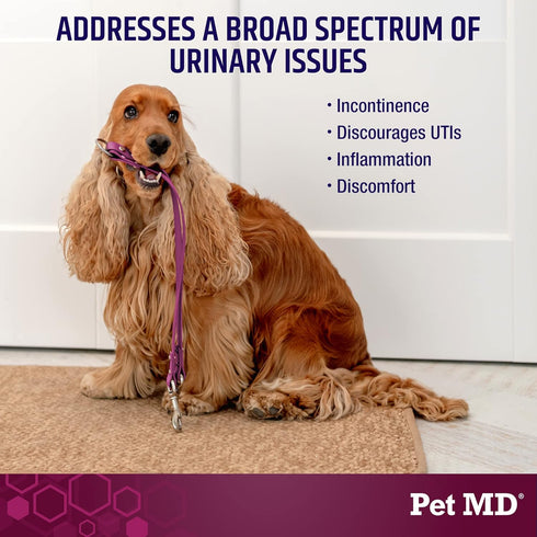 Pet MD Bladder Support Plus Cranberry for Dogs - Support Bladder Control & Urinary Tract Health - Help Relieve Dog UTI & Incontinence - Wild Yam R...