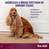 Pet MD Bladder Support Plus Cranberry for Dogs - Support Bladder Control & Urinary Tract Health - Help Relieve Dog UTI & Incontinence - Wild Yam R...