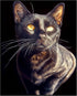 Posterizer 1 pcs-beautiful cat-kitty in the house art 2-Art for Animal Lovers Gift for Men Women Entrepreneur Teens Decor for Home & Office- unf...