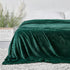 StangH Super Soft Green Fleece Blanket - Fall Flannel Fuzzy Bed Blanket Throw for Couch/Office/Dog, Lightweight Microfiber Plush Baby Blankets, (T...
