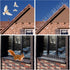 Bird Spikes for Pigeons Small Birds, 3 Pack Bird Spikes for Outside to Keep Birds Squirrel Cat Away, Stainless Steel Anti Bird Spikes for Fence Wi...