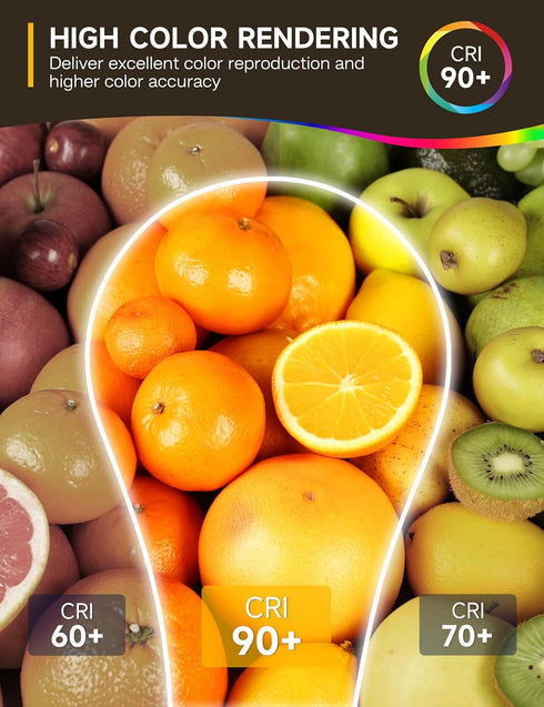 3 Way Light Bulbs 50 100 150w Equivalent, Daylight White 5000K, E26 LED Filament Light Bulbs, Three Way A19 LED Light Bulb with 90+ CRI, Bright Wh...