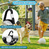 4 Modes Dog Lights for Night Walking, IP68 Waterproof Dog Collar Light, High Capacity Rechargeable Collar Lights for Night Time Clip On, Small and...