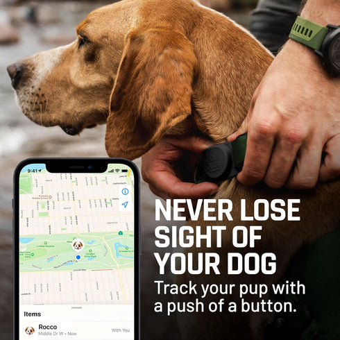 Mammoth Airtag Dog Collar Holder, Strong Dog Airtag Holder is The Perfect Way to GPS Track Your Dog | Uses Apple Technology to Keep Track of Your ...