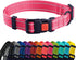 CollarDirect Reflective Dog Collar for a Small, Medium, Large Dog or Puppy with a Quick Release Buckle - Boy and Girl - Nylon Suitable for Swimmin...