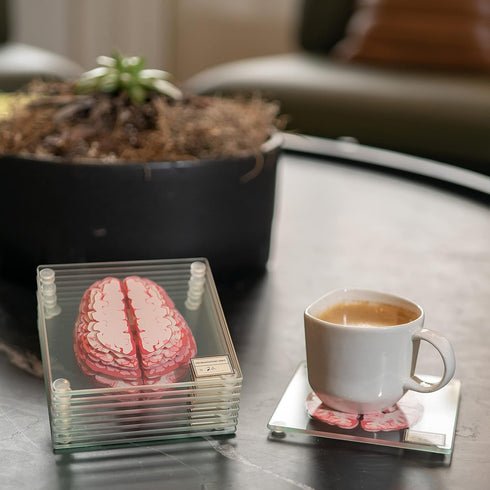 Anatomic Brain Specimen Coasters (Set of 10) - Neuroscience Gifts Best Gifts for Medical Student Gifts Brain Decor Human Anatomy Gifts Weird Gifts...
