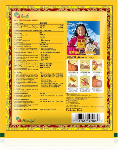 Cheezheng Plaster Cheezheng Pain Relieving Plaster 5 patch...