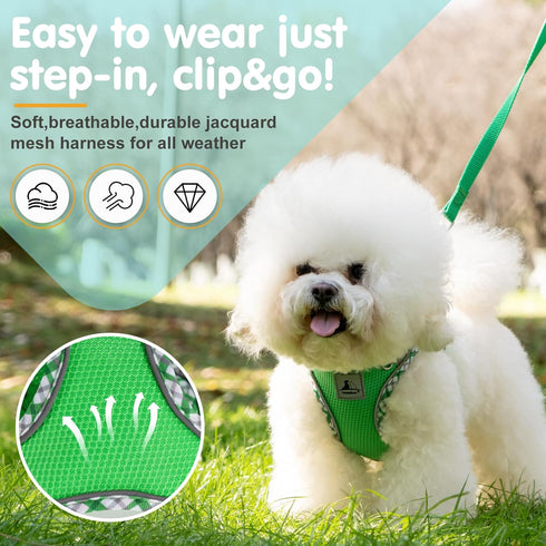Dog Harness and Leash Set, No Pull Pet Harness for Small Dogs Easy Walking,Soft Breathable Small Dog Harness,Adjustable Reflective Step in Vest Ha...