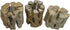 3 Natural Cholla Wood Air Plant Display Holders 2 inch Individually Unique Round Decorative Stands...