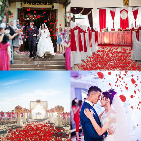 Ouddy Decor 3000 Pcs Rose Petals Artificial Flowers for Valentine's Wedding Decor Romantic Night Bridal Party Home Decorations, Red...
