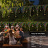 DBFAIRY Christmas Star Net Lights 196LED 13.1Ft(L) x1.9Ft(H) LED Fairy Net Lights Mains Powered Waterproof Outdoor Net Lights with Timer for Balco...