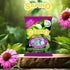 Balsam Fir Lozenges with Echinacea...