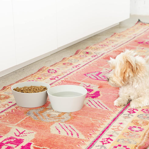 Waggo Habit Silicone Dog Bowl for All Breeds - Modern Heavyweight Silicone, Durable Pet Food and Water Dish Crock, Dishwasher Safe (Light Grey)...