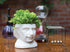 The Unemployed Philosophers Guild Albert Einstein Bust Ceramic Planter...