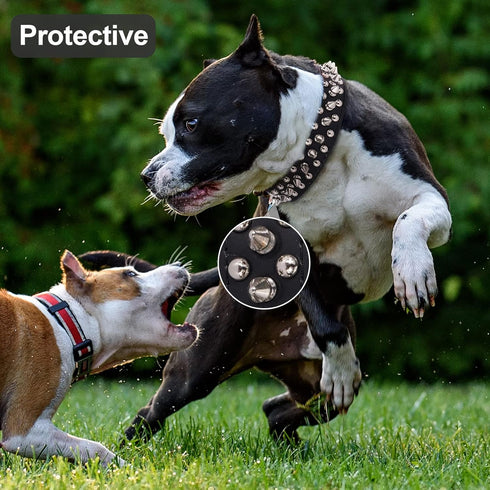 Dog Collars for Medium Dogs with Leash, Epesiri Spiked Dog Collar for Large Dogs, Dog Collar, Studded Rivet Pit Bull Leather Dog Collar Durable Ca...