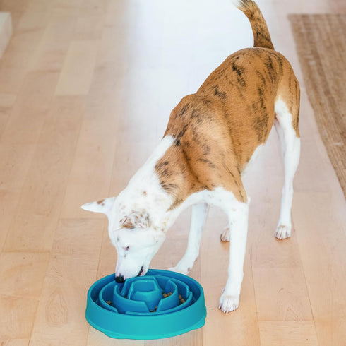 Outward Hound Fun Feeder Slo Bowl, Slow Feeder Dog Bowl, Large/Regular, Turquoise...