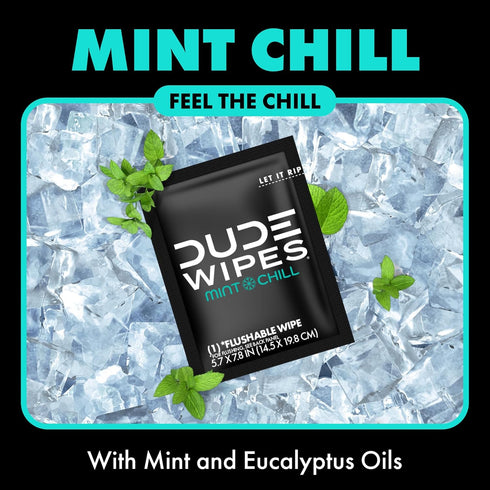 DUDE Wipes - On-The-Go Flushable Wipes - 1 Pack, 30 Wipes - Mint Chill Extra-Large Individually Wrapped Adult Wet Wipes - Eucalyptus & Tea Tree Oi...