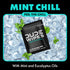 DUDE Wipes - On-The-Go Flushable Wipes - 1 Pack, 30 Wipes - Mint Chill Extra-Large Individually Wrapped Adult Wet Wipes - Eucalyptus & Tea Tree Oi...