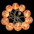 YULETIME Plum Blossom Lantern String Lights, 10 Count Nylon Lantern on 7.6' White Wire, UL Listed 8" Spacing End-to-end Connectable Plug-in String...